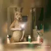 Pablo César Cáceres - @pablo_caceres21 - TikTok