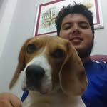 Pablo Cerna - @pablo.cerna.33 - Instagram