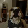 Pablo colegio - @pablo.colegio - TikTok