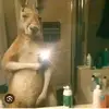 Collazo Pablo - @collazopablo - TikTok