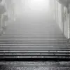 duncanpablo2864 - @duncanpablo2864 - TikTok