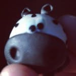 Pablo Duncan - @iampablothezebra - Instagram