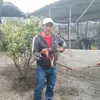 Pablo Falcon - @pablo.falcon55 - TikTok