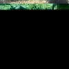 userwj89po9fb9 - @pablo_fermin - TikTok