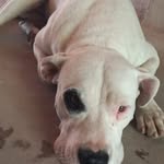 Pablo Galarza - @pablo.galarza.547 - Instagram