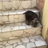 Pablo_galarza - @pablo_galarza - TikTok