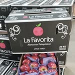 Pablo Gauna - @favorita309 - Instagram