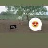 PABLO GERBER - @pablogerber0 - TikTok
