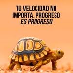 Pablo Granillo - @pablo.granillo.1276 - Instagram