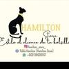 Hamilton_Store_ - @pablo.hamilton - TikTok