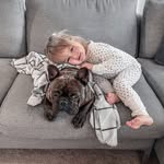 Pablo Hamilton - @iampablothefrenchie - Instagram