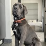 Pablo, Harris & Jameson - @pablo__harris__jameson - Instagram