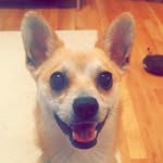 Pablo Hart - @good_lil_b0y - Instagram