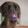 .pablohart ࿉ - @.pablohart - TikTok