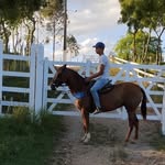 Pablo Henry - @pablo_henry2912 - Instagram