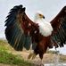 Pablo Heredia - Facebook