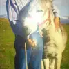 pabloherranz82 - @pabloherranz82 - TikTok