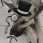 pablo_holman - @pablo_holman2 - Instagram