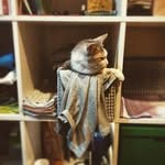 @pablo_hubert - Instagram