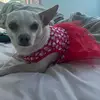 pablohuerta6697 - @pablohuerta6697 - TikTok
