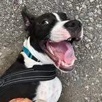 @pablo_hunter_2 - Instagram