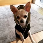 Pablo Hunter - @pablohunter1 - Instagram