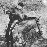 Pablo Ildefonso Moreno Carrero - @pabloildefonsomoreno - Instagram