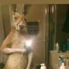pabloissa - @pabloissa06 - TikTok