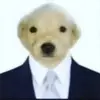 pabloissacchrbell - @pabloissacchrbell - TikTok