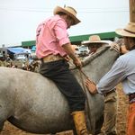 Pablo Jacinto - @pablojacinto6819sheyp - Instagram
