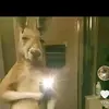jacobpablo7777 - @jacobpabloliamcan - TikTok