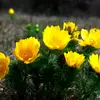 PabloJacobsBB5923 - @pablojacobsbb5923 - TikTok