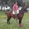 Pablo Jaime - @pablojaime81 - TikTok