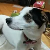 Pablo_Joaquín - @users3ydnyzg66 - TikTok