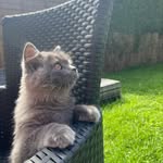Pablo Kane - @life_of_pablo84 - Instagram