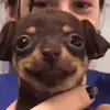 PABLOTHECOOLKIDD - @pablothecoolguy - TikTok