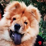 pablooo - @pablo_kocholo - Instagram