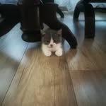 Pablo Kotkowski - @pablokotkowski - Instagram
