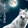 Pablo. Lama. Reyna - @pablolamareyna - TikTok
