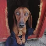 Pablo - @pablo_landeros_1014_ - Instagram