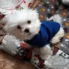 pablodelapuerta - @pablodelapuerta - TikTok