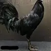 Pablo Lerma - @pablolermahernand - TikTok