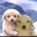 Pablo Lerma - Facebook