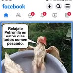 Pablo Llanes - Facebook