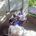 Pablo Lujan - Facebook