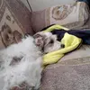 Pablo lujan - @pablolujan23 - TikTok