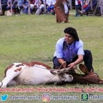 Pablo Madrigal - @f.pablo_madrigal - Instagram
