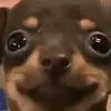 Pablo Madrigal - @pablo.madrigal163 - TikTok