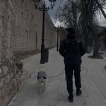 Pablo - @pablo_madrizz - Instagram