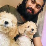 Mr & Mrs 𝐏𝐮𝐝𝐝𝐥𝐞 🐩 🐾 - @_pablo_maria_0717 - Instagram